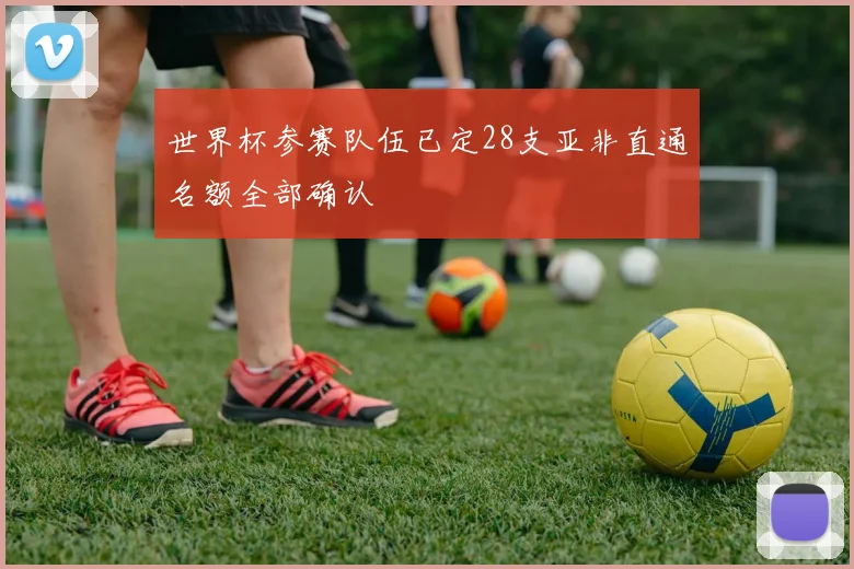 世界杯参赛队伍已定28支亚非直通名额全部确认