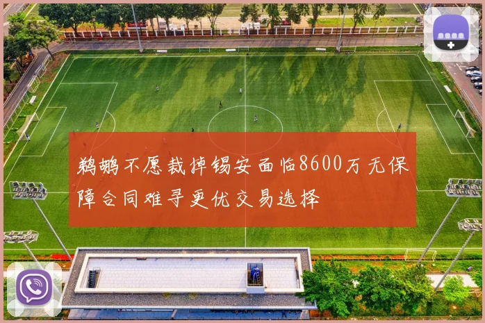 鹈鹕不愿裁掉锡安面临8600万无保障合同难寻更优交易选择