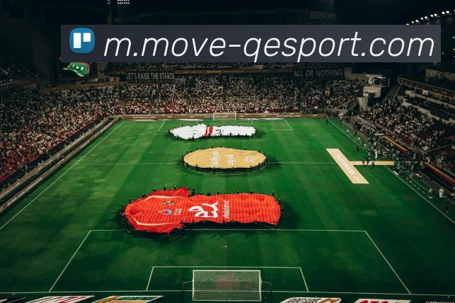 企鹅体育APP 封面图